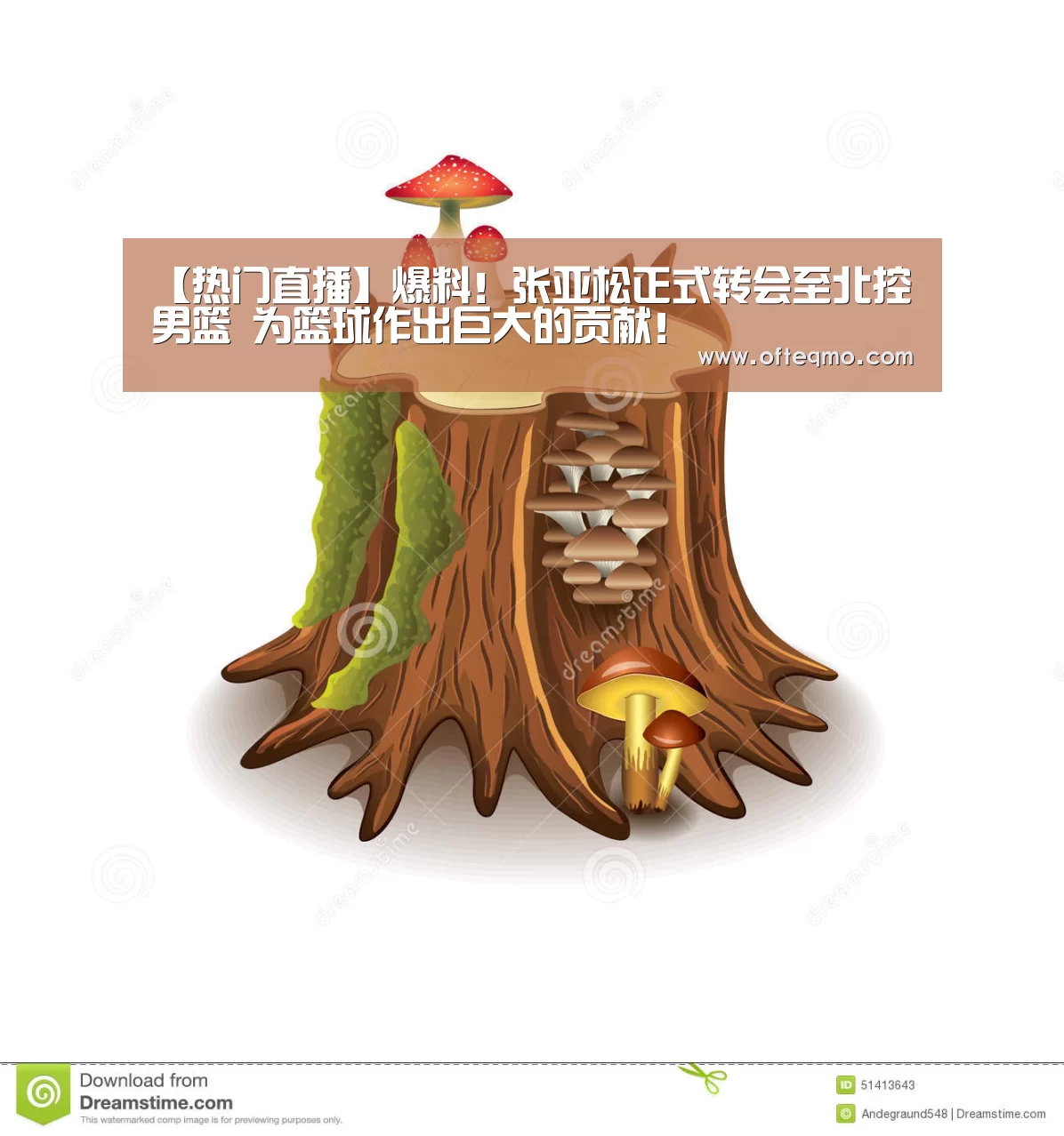 官方入口