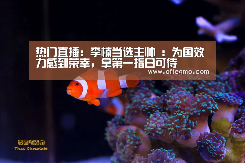 热门直播:李楠当选主帅 :为国效力感到荣幸,拿第一指日可待(图3) 热门直播
