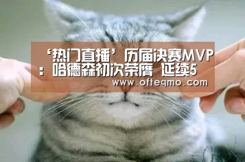 官方入口