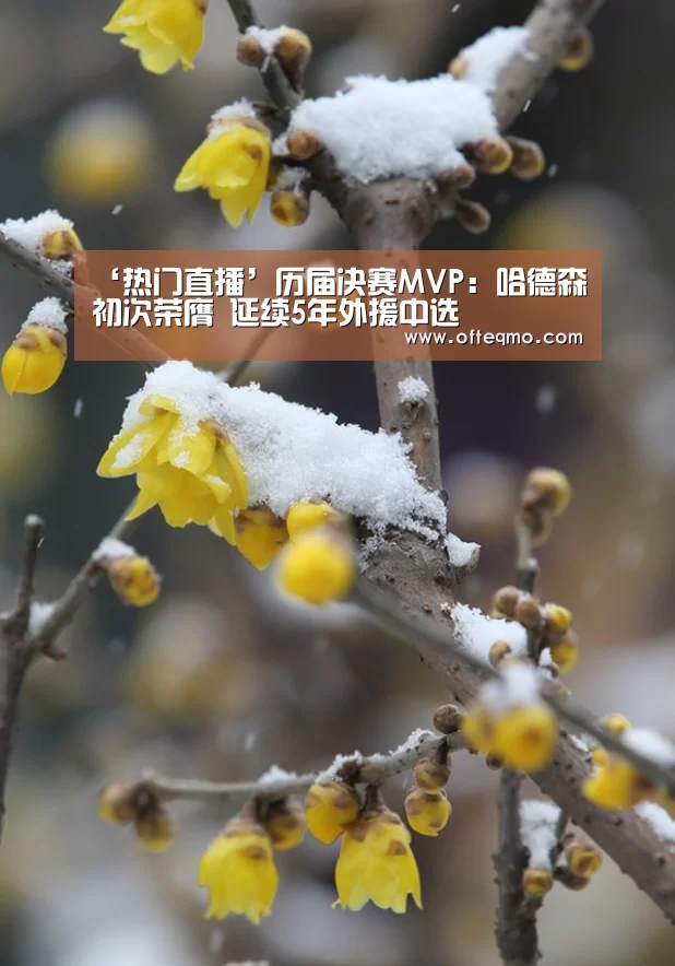 欧宝体育（官方)